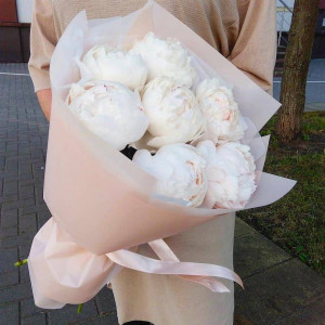 7 белых пионов с упаковкой